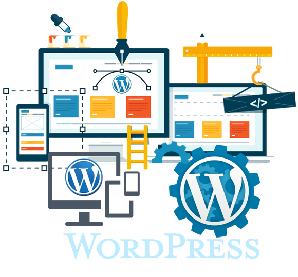 WordPress Developer